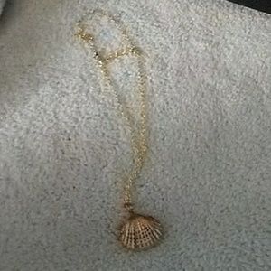 Stunning seashell necklace! NWOT